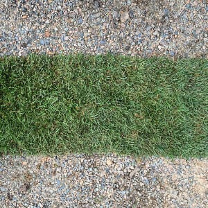 Sod Piece