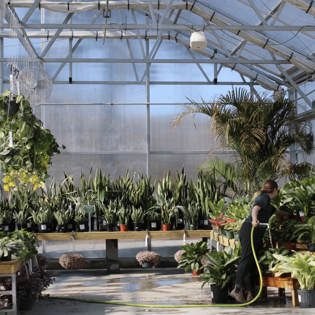 west end nursery greenhouse