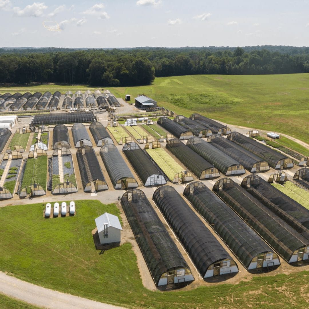Hanover farms production facility