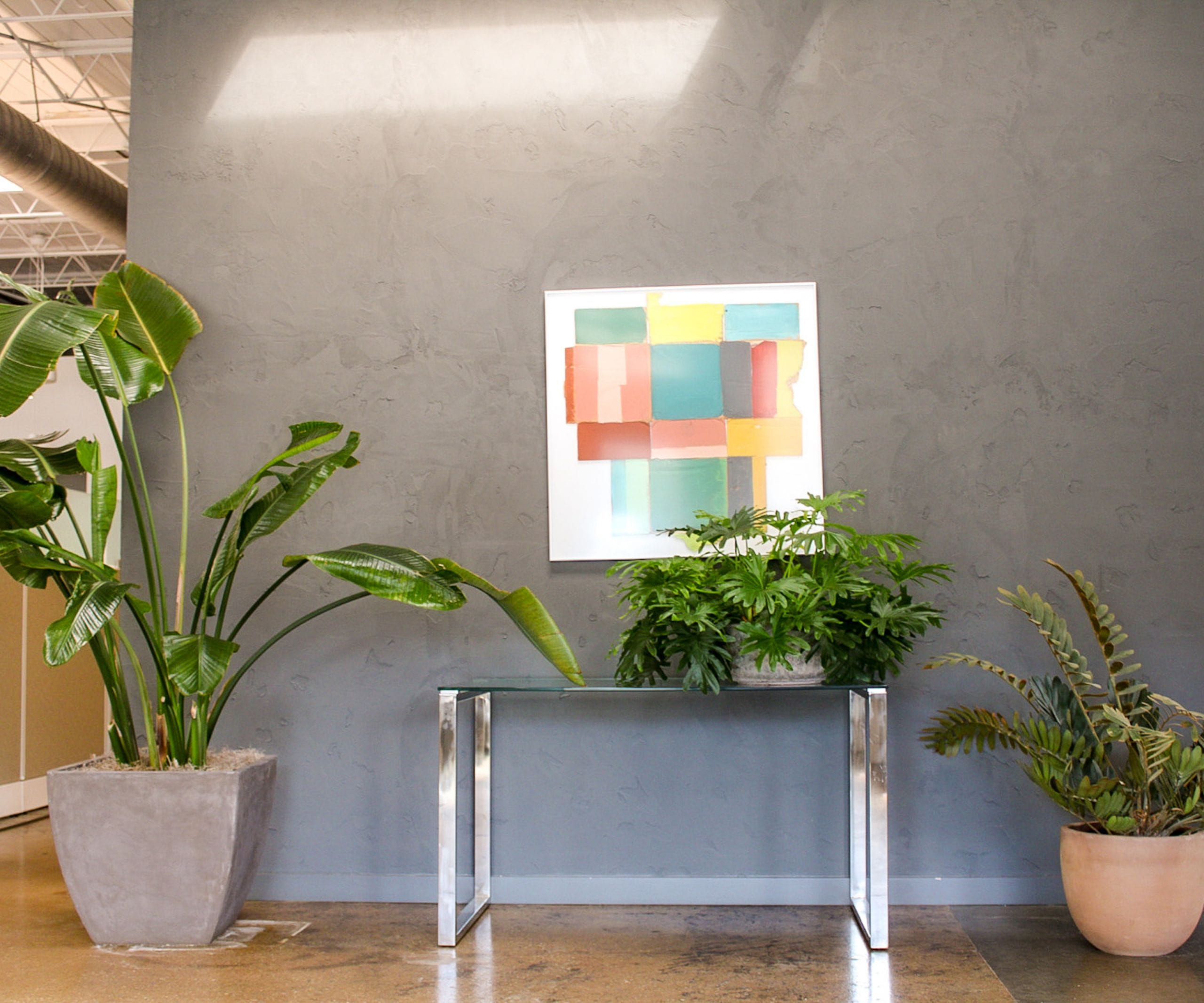 interior- commercial plant maintenance