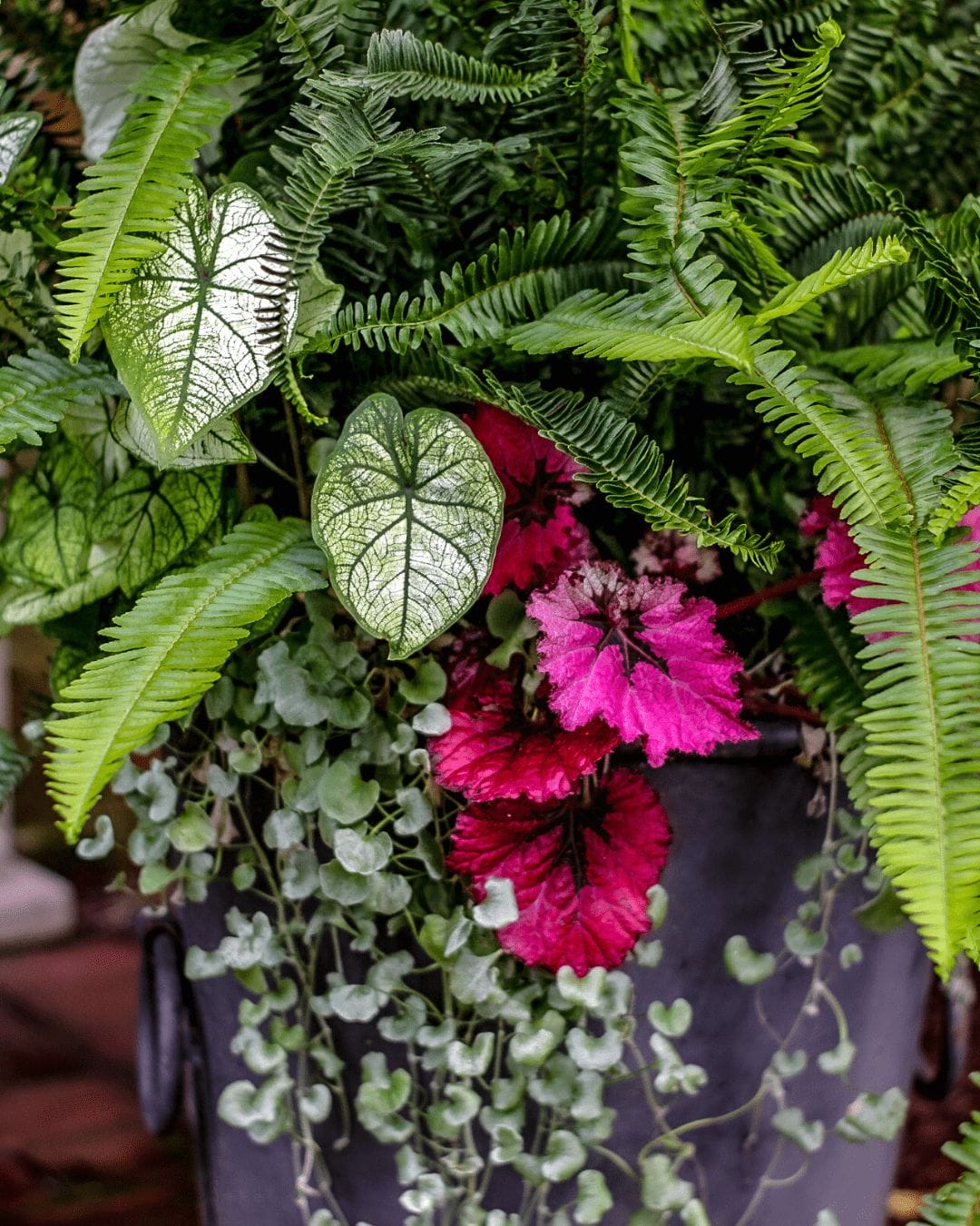 interior- container garden