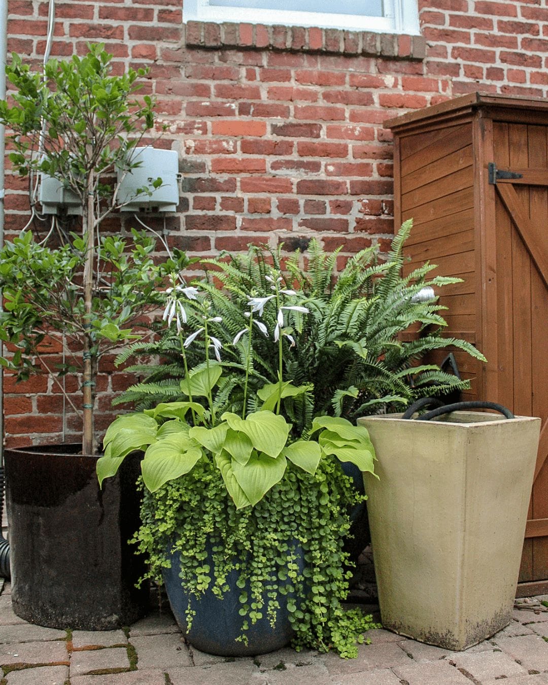 interior- container garden