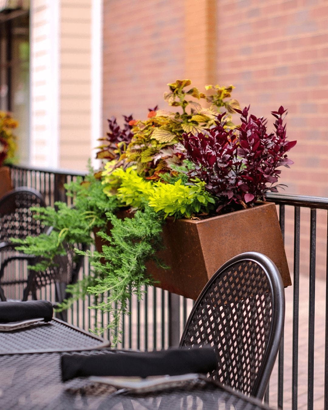 interior- container garden