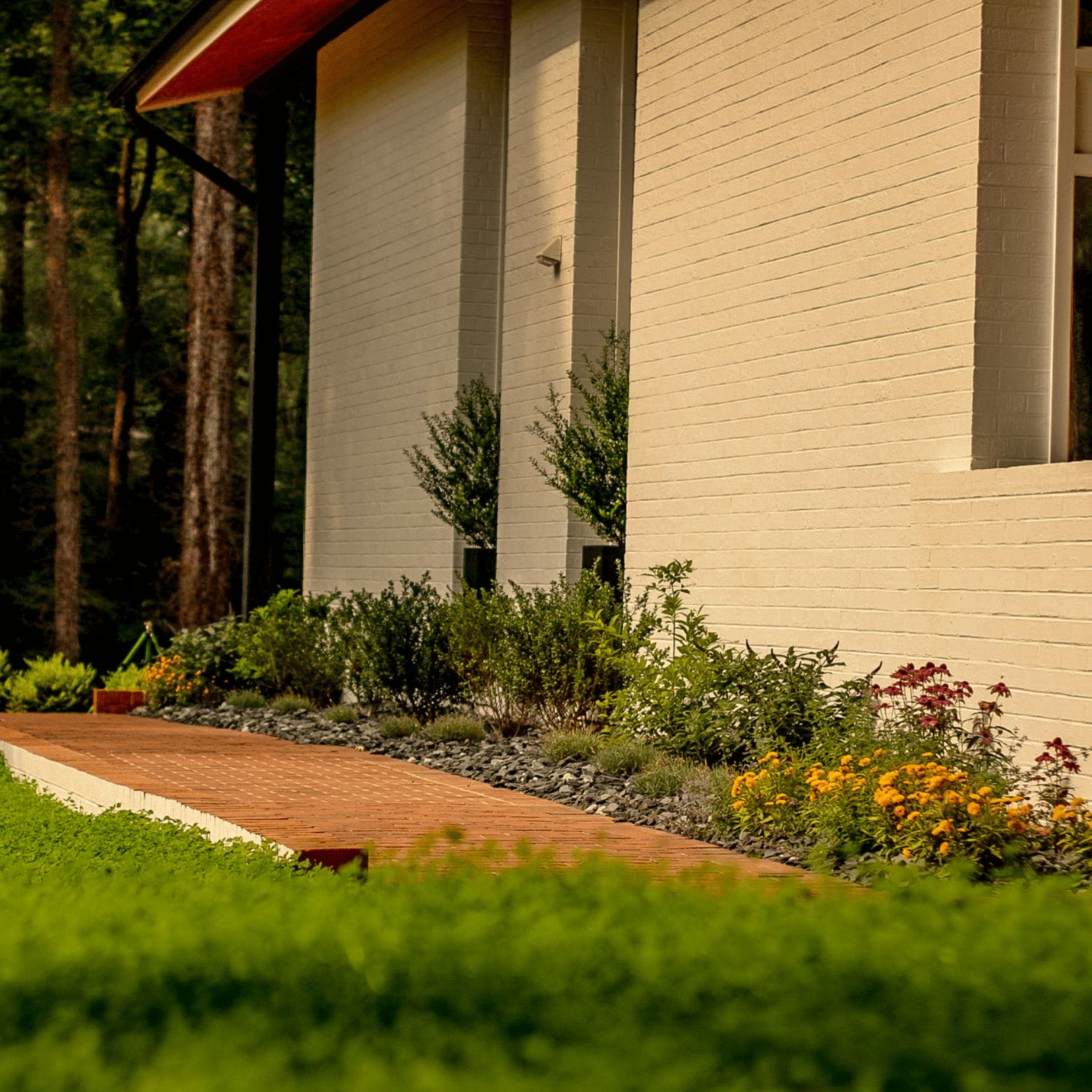 Clover lawn and wildflower landscaping